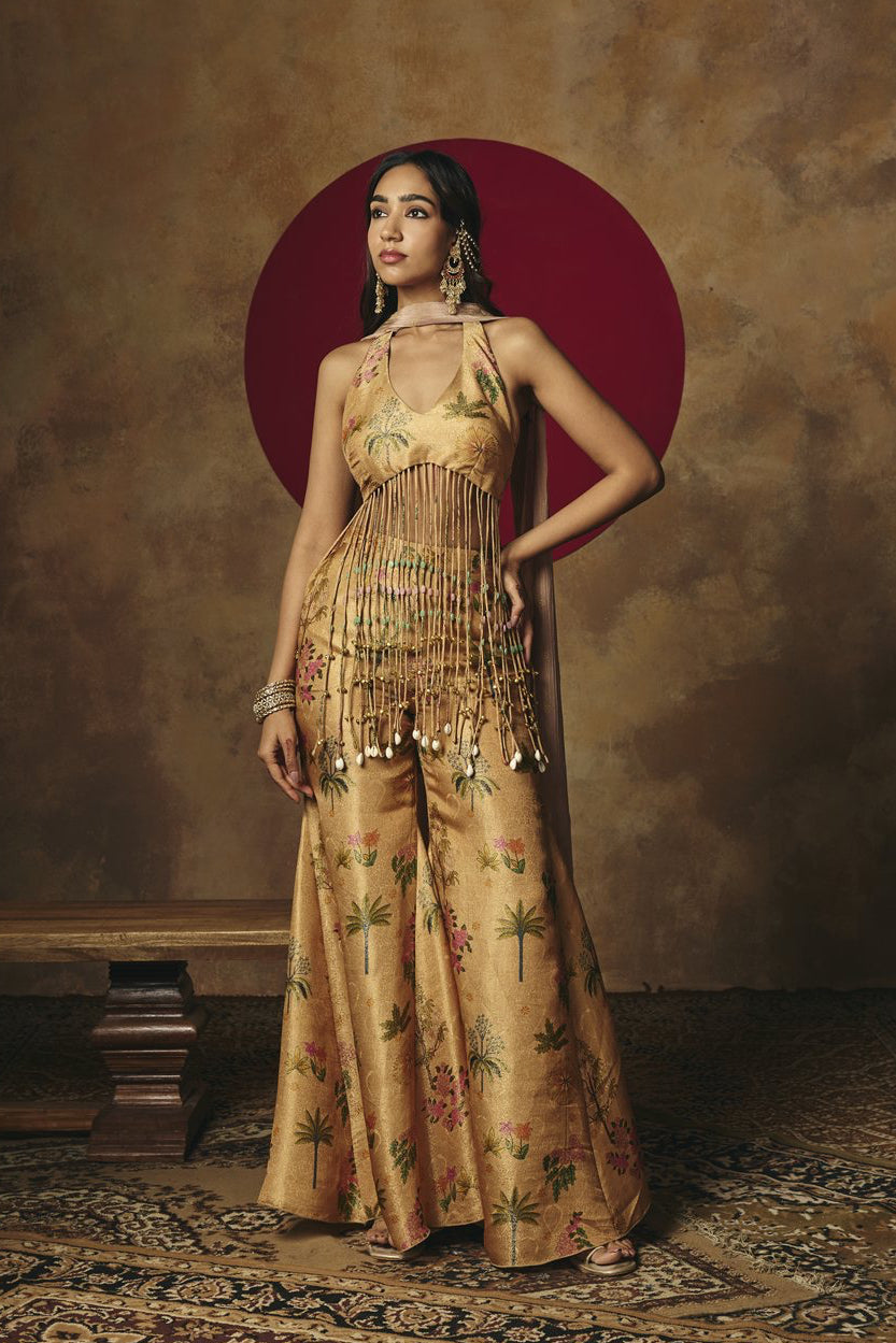 Mira Yellow Embroidered Tissue Tassel Sharara Set