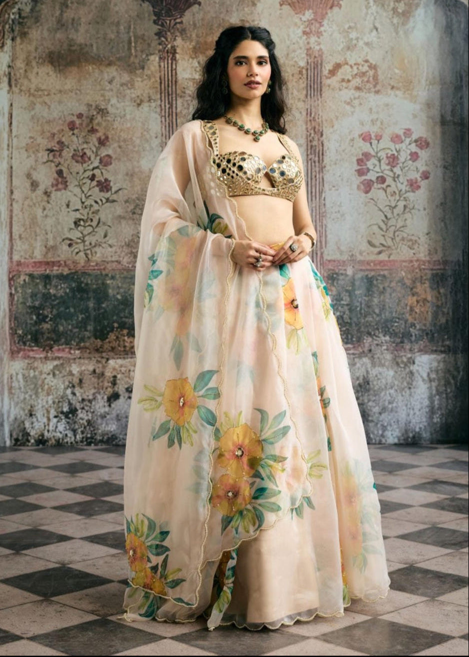 Aarvi Mirror Hand Embroidered Blouse