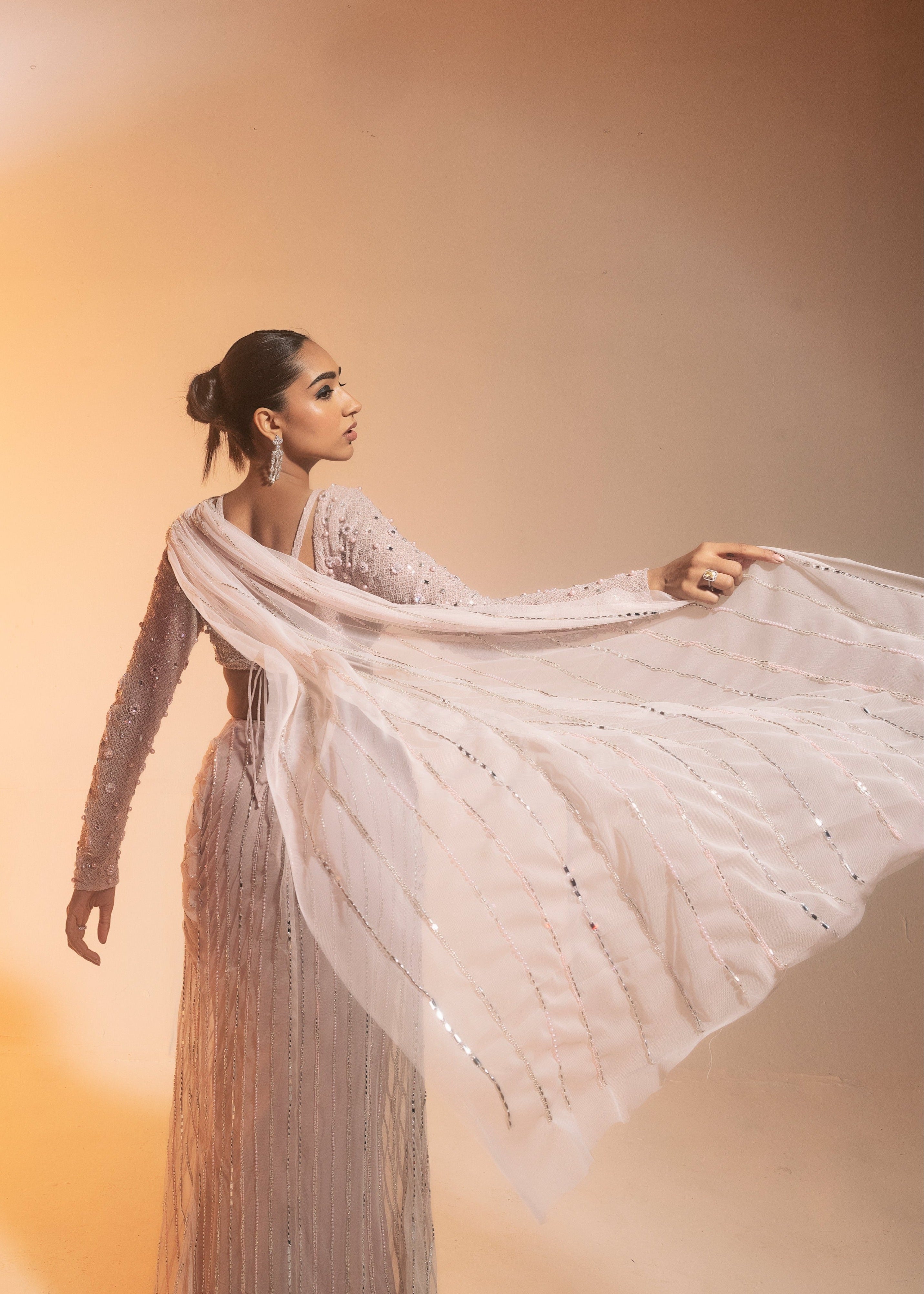 Blush Hand-Embroidered Draped Saree 