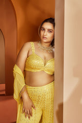 Jeevika Yellow Mirror Embroidery Coord Set