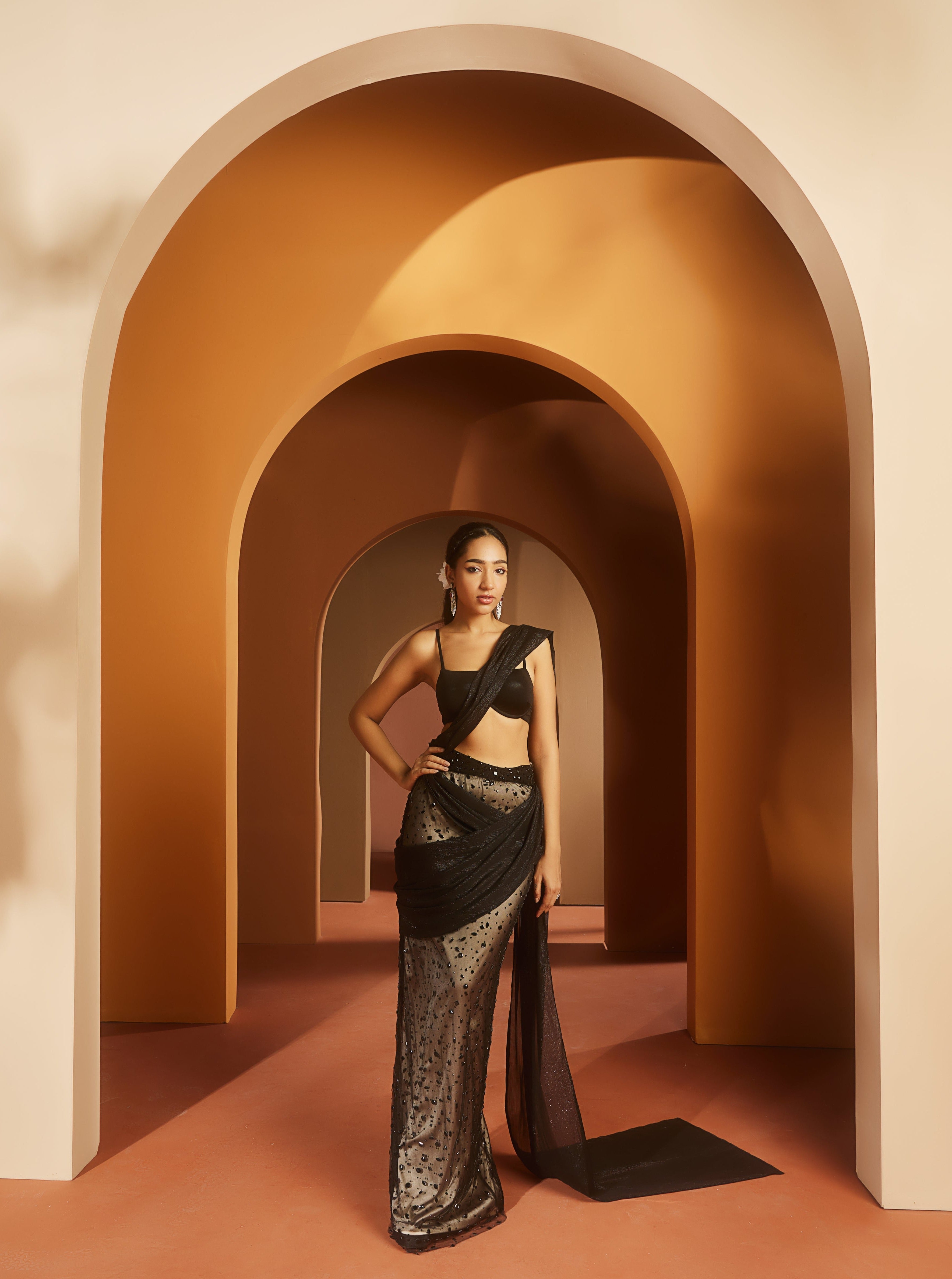 Black and Nude Embroidered Saree Set