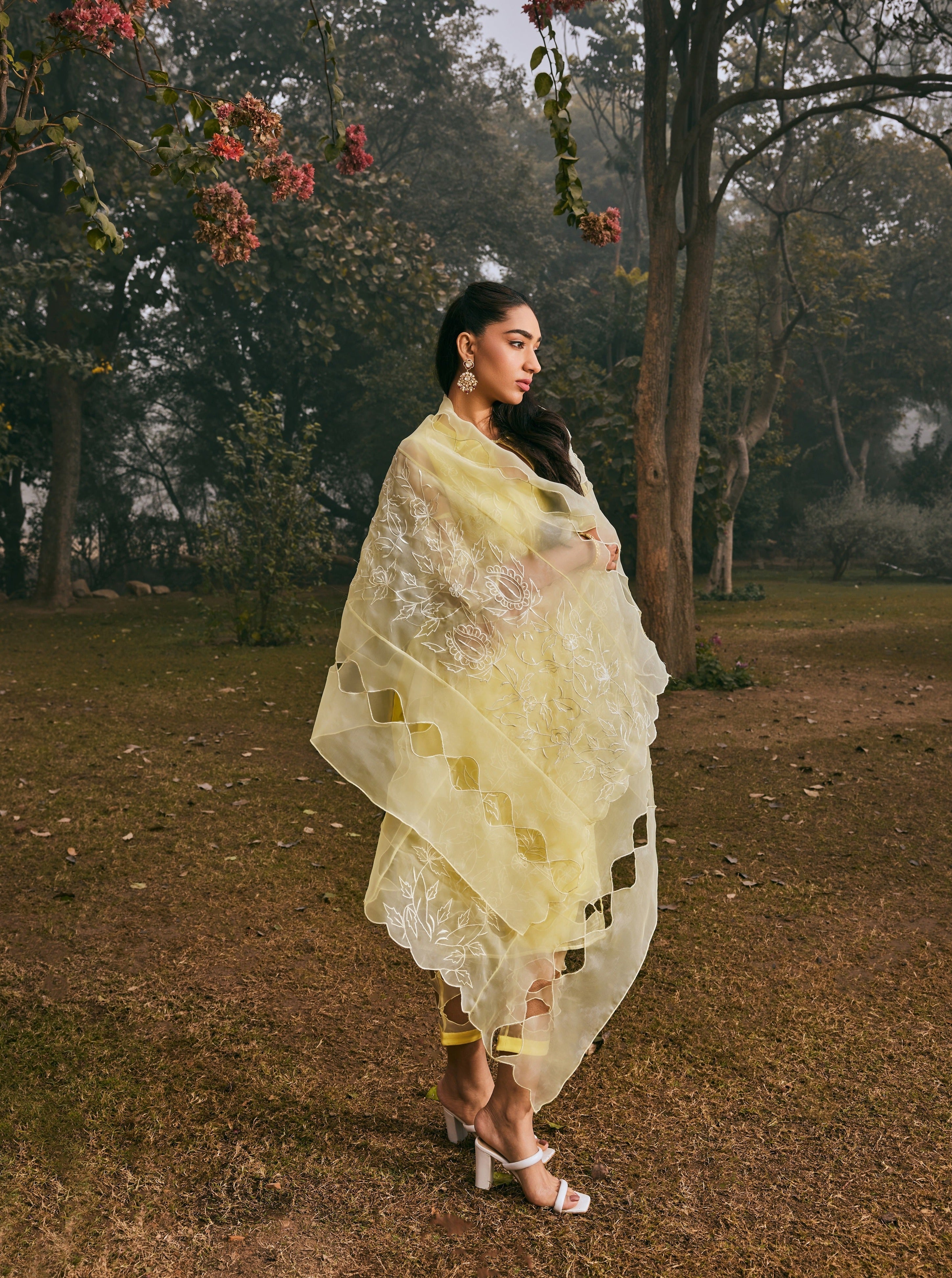 Mazneen Yellow Organza Kurta Set